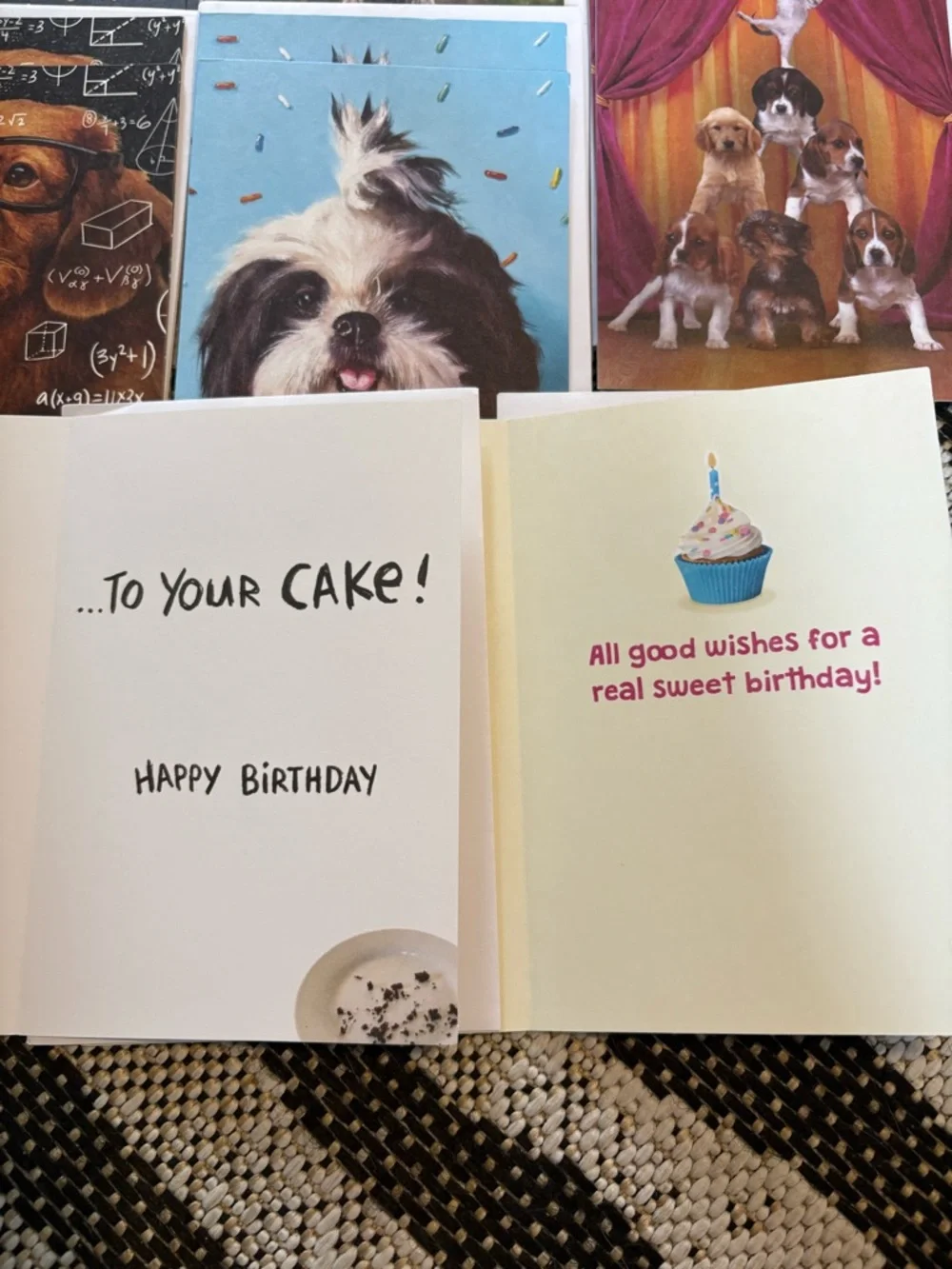 🆕Recycled Paper Greetings-American Greetings Animal Birthday Cards, Bundle Of 20